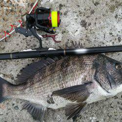 乗っ込みシーズン